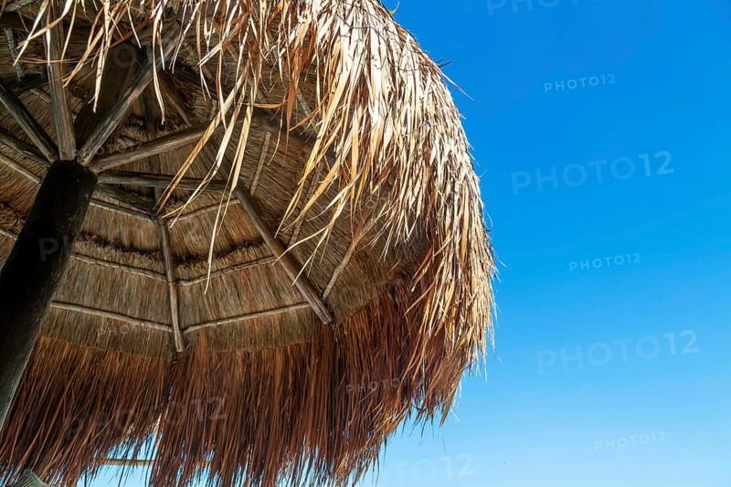Thatched palapa shelter buildings with blue sky, Gulf of Mexico coast, Celestun, Yucatan, Mexico, Central America