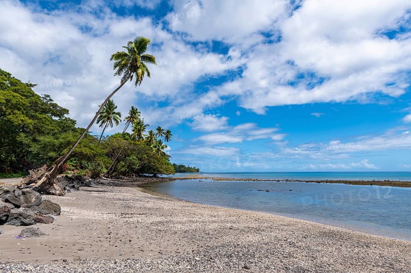 Palm fringed Coral beach, Taveuni, Fiji, South Pacific, Oceania
