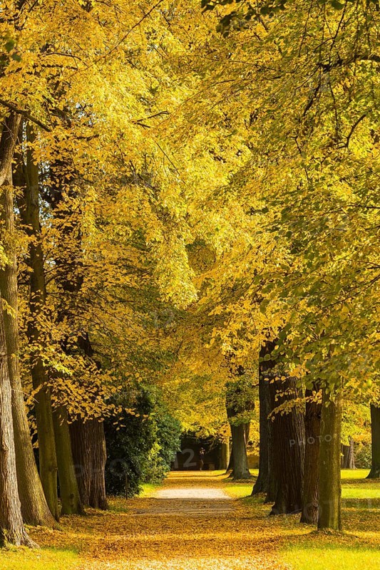 The former summer residence of the Saxon royal family is the largest chinoise palace complex in Europe. The palace park with more than 2, 000 shrubs and over 600 potted plants invites visitors to take eventful walks at any time of year
