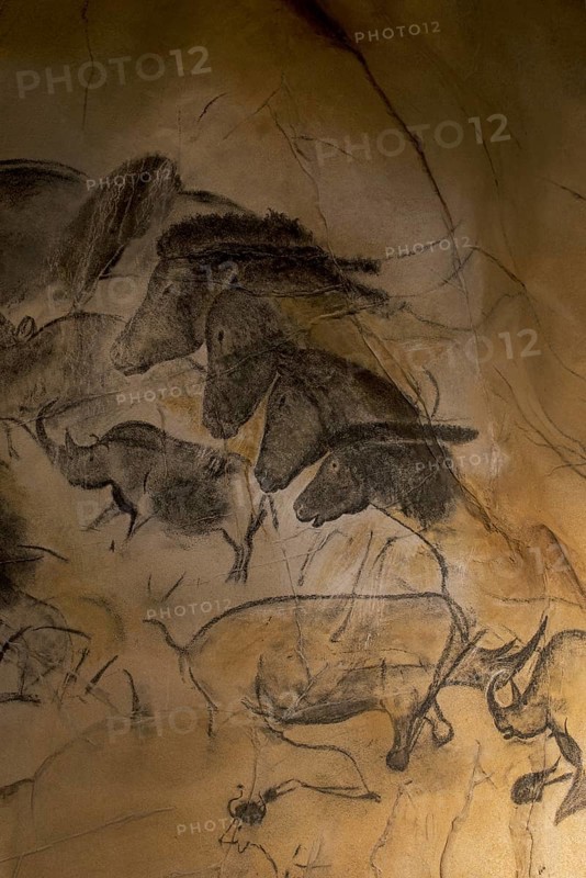 Replica of prehistoric rock paintings of the Chauvet Cave, Chauvet-Pont-d'Arc Cave, Ardèche, France, showing extinct animals woolly rhinoceros (Coelodonta antiquitatis), wild horses and aurochs (Bos primigenius) bulls, Europe