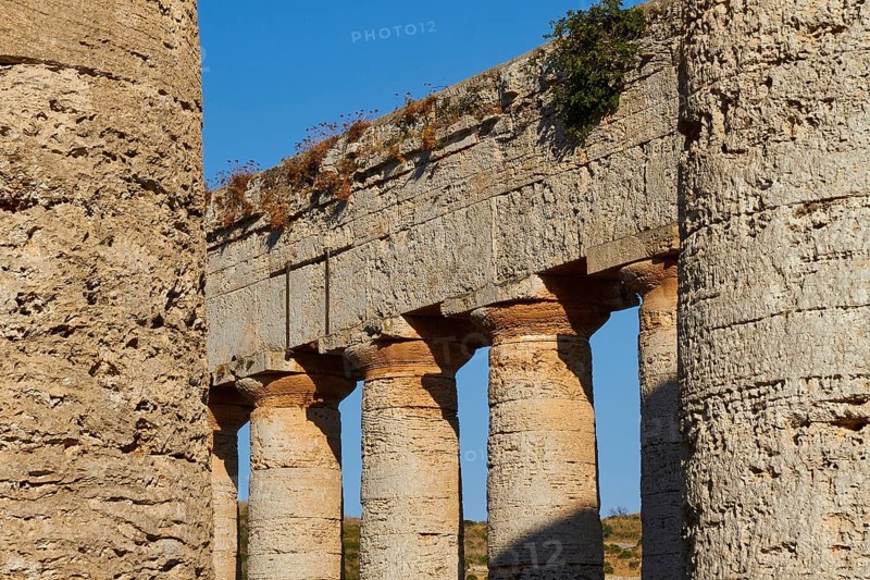 Evening light, Doric temple, detail, columns, chapter, entablature, Segesta, Ancient site, Archaeological site, Doric, Trapani province, Sicily, Italy, Europe