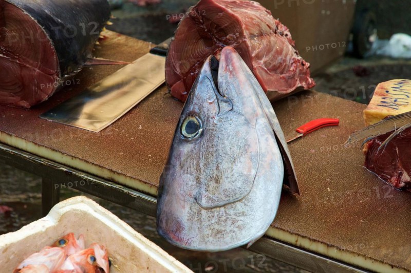 Pieces of tuna, fish head, detail, fish market, Catania, Old Town, Baroque Old Town, Eastern Cuisine, Sicily, Italy, Europe