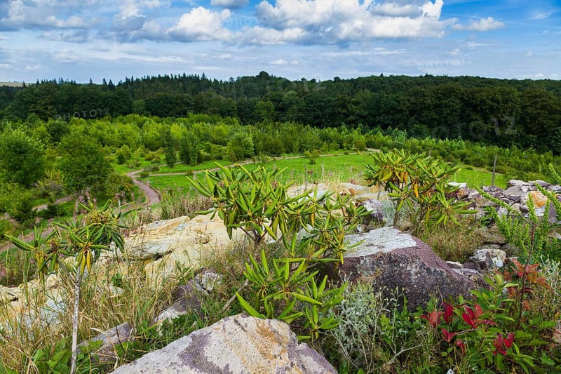 The Forest Botanical Garden Tharandt is an institution of the Technical University of Dresden and at the same time the Saxon State Arboretum. It houses single stem woody plants and has been greatly expanded since 1997 to include North American forest formations