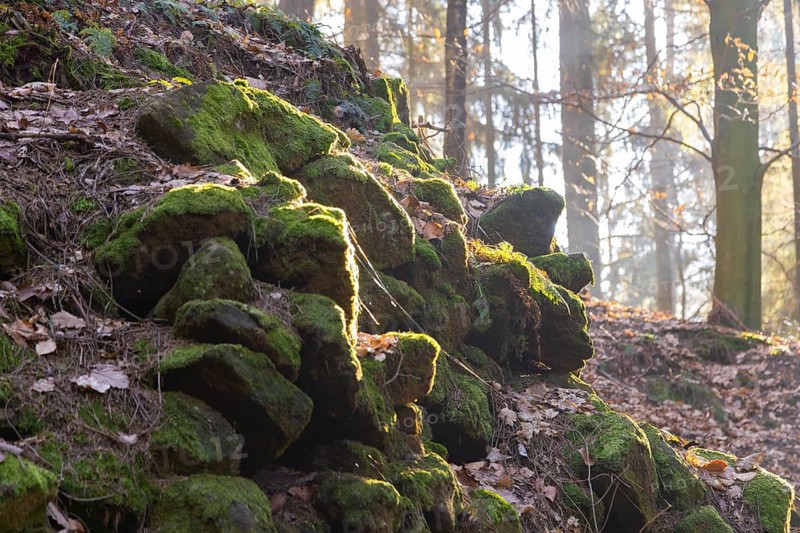 Hiking trail through the Schiessgrund in the Schrammstein area in Saxon Switzerland