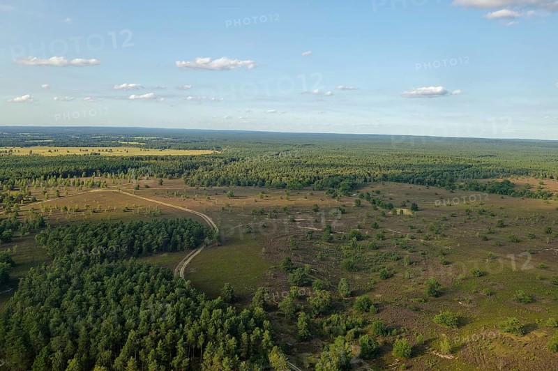 Aerial view of the Osterheide during the heath blossom in the Lüneburg Heath. Schneverdingen, Lower Saxony, Germany, Europe