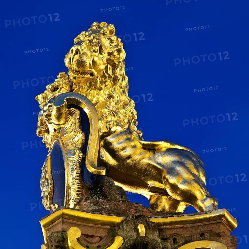 Golden Nassau lion on the market fountain, Schlossplatz, state capital Wiesbaden, Hesse, Germany, Europe