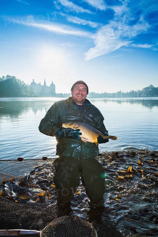 Fishing of the castle pond in Moritzburg
