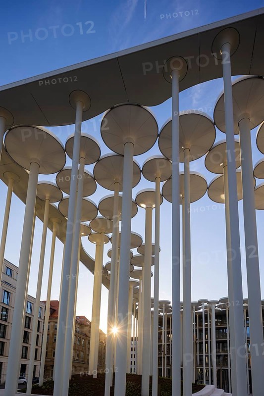 SAB Forum, designed by London-based architects ACME, 165 million euros. The Forum is a column garden in front of the SAB, consisting of 159 columns with a height of around 20 m. There are a further 92 columns on the building itself, 68 of which are free-standing and 24 of which penetrate the building. The columns are used as sun protection, partly for smoke extraction from the underground car park and as a design element