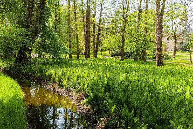 Schönfeld Castle Park Grossenhain