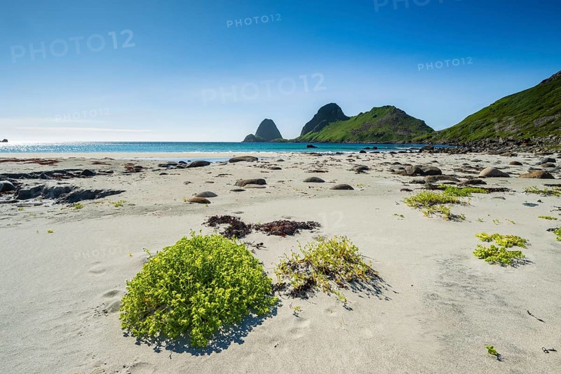 Sandvika beach near Nykvag, Langoya island, Vesteralen archipelago, Norway, Europe