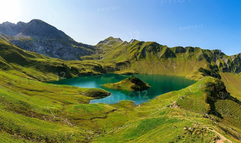 Schrecksee in the midst of green mountains under a clear sky, surrounded by lush vegetation and a small green island, Allgäu Alps, Bad Hindelang, Allgäu, Bavaria, Germany, Europe