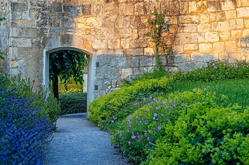 Pictures from Blankenburg Castle Park