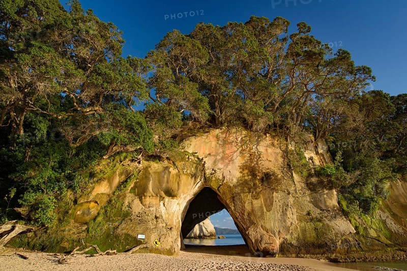 Cathedral Cove in Coromandel, New Zealand, Oceania