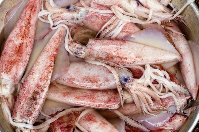 Freshly caught cuttlefish in Saigon, Vietnam, Asia