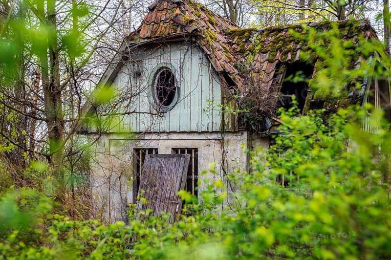 Old building in the forest witch's house