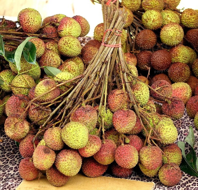 Bundles of fresh lychee fruit are sold at an outdoor market
