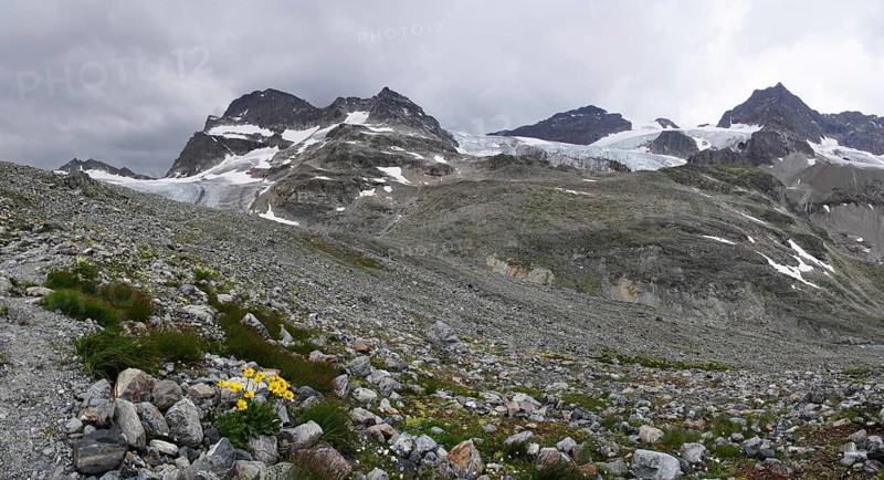 Silvretta main ridge and the