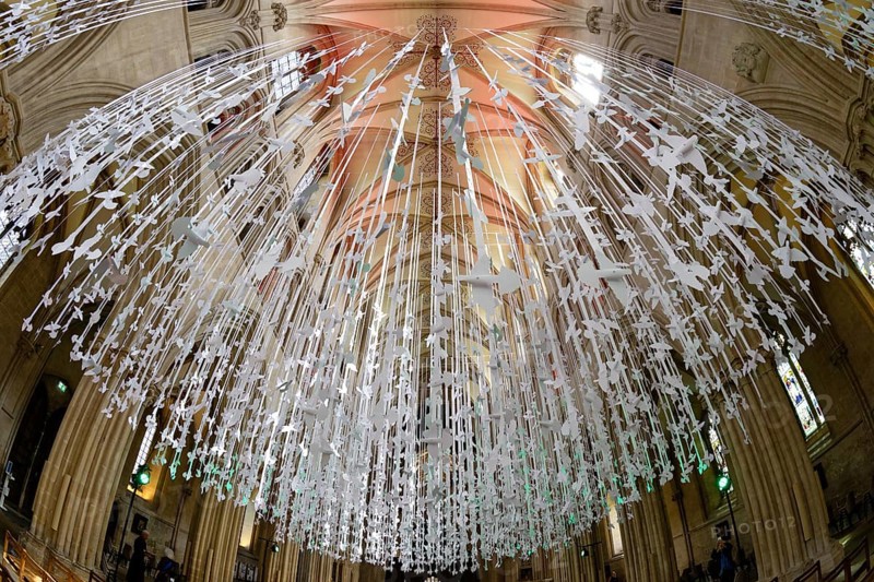Fisheye, interior view, Peace Doves, Wells Cathedral, Wells, England, Great Britain