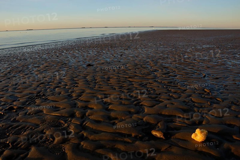 Beach in Wyk, Föhr, Schleswig-Holstein, Germany, Europe