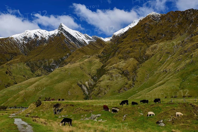 Mount Aspiring National Park in South Island, New Zealand, Oceania