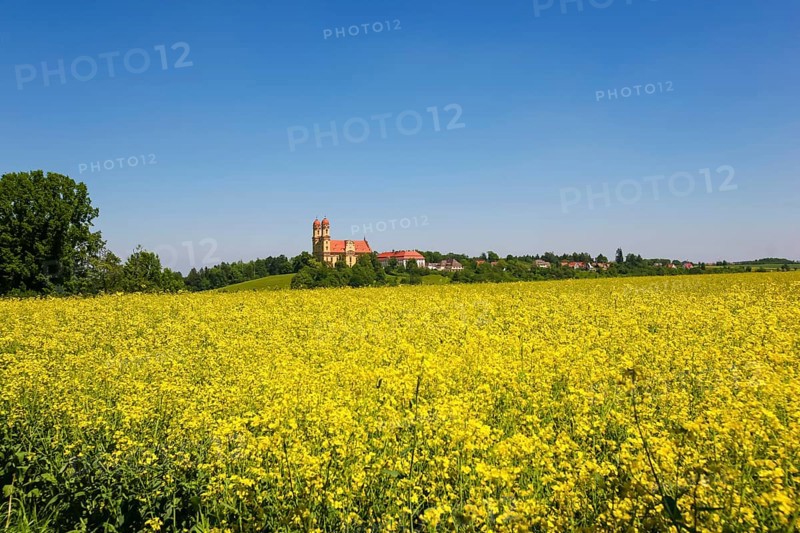 Schönenbergkirche, pilgrimage church Zu Unserer Lieben Frau, church, sacred architecture, rape field, yellow flowers, Ellwangen Jagst, Baden-Württemberg, Germany, Europe