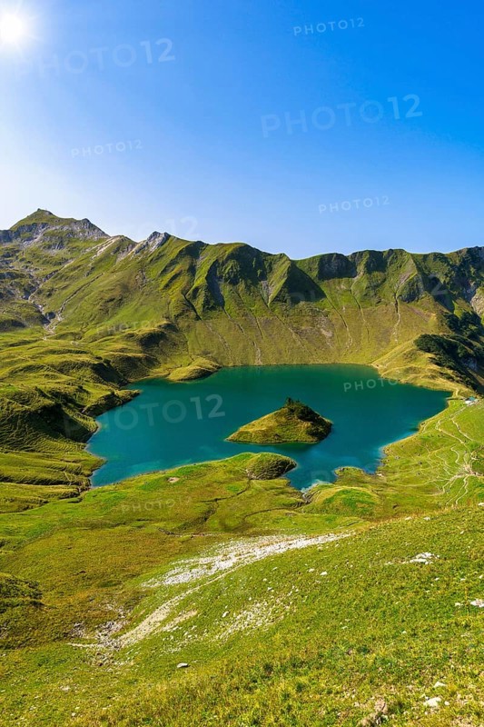 Schrecksee in the midst of green mountains under a clear sky, surrounded by lush vegetation and a small green island, Allgäu Alps, Bad Hindelang, Allgäu, Bavaria, Germany, Europe