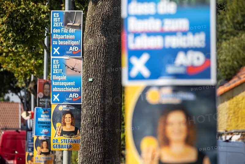 State election in Brandenburg 2024: The AfD party advertises for votes on election posters. Teschendorf, Brandenburg, Germany, Europe