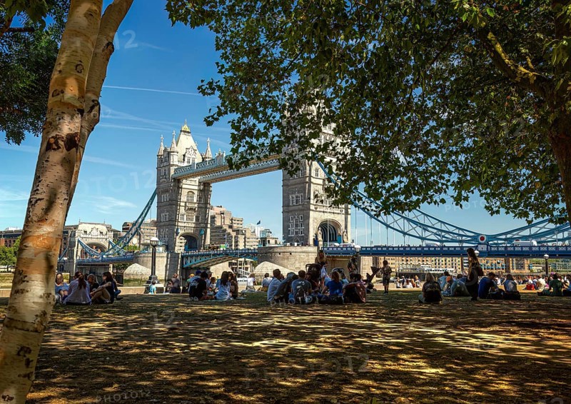 The historic Tower Bridge, in front of it a shady park where people sit in the shade of trees, London, United Kingdom Great Britain