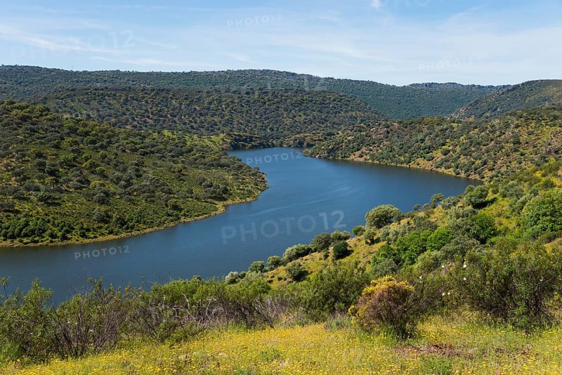 Picturesque landscape with a river surrounded by green hills and lush vegetation under a clear sky, River Tiétar, Tietar, Monfragüe National Park, Cáceres, Caceres, Extremadura, Spain, Europe