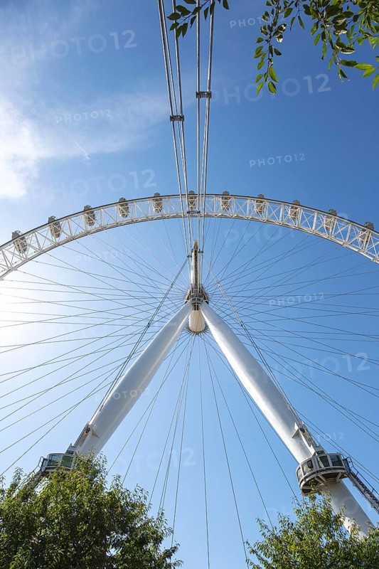 Close-up of the London Eye Ferris wheel and structure with trees and blue sky in the background, London, United Kingdom, Europe