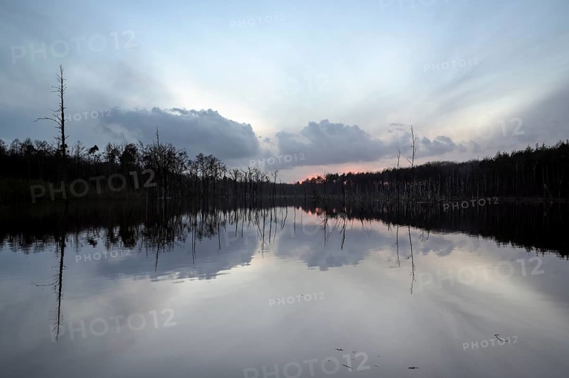 Mountain subsidence area, in winter, at sunset, with reflection, Bottrop, Ruhr area, North Rhine-Westphalia, Germany, Europe