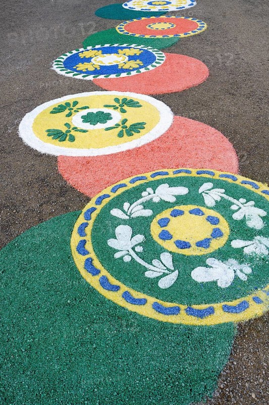 Flower motives on the ground during the Flower festival, Viana do Castelo, Minho, Portugal, Europe