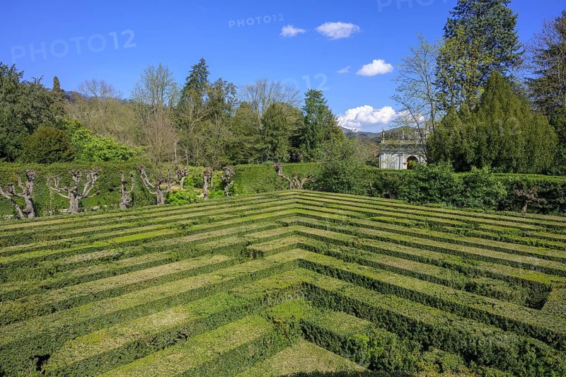 Labyrinth, garden of Villa Barbarigo, Valsanzibio, Galzignano Terme, Province of Padua, Italy, Europe