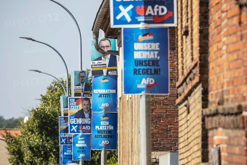 State election in Brandenburg 2024: The AfD party advertises for votes on election posters. Teschendorf, Brandenburg, Germany, Europe