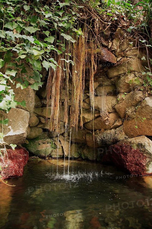 Water garden, niche made of natural stone, with greenery and small watercourse