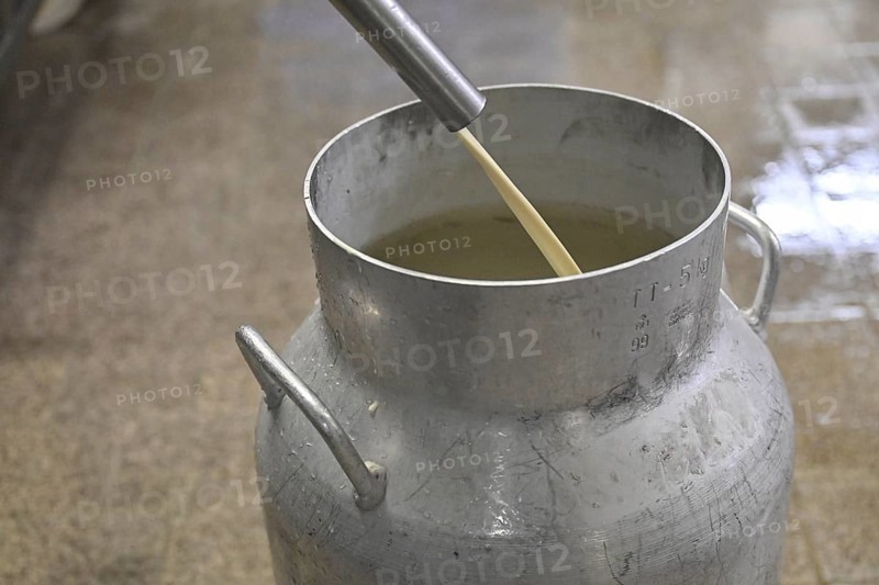 Filling milk Milk can