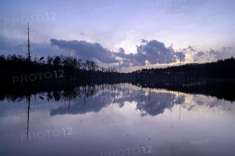 Mountain subsidence area, in winter, at sunset, with reflection, Bottrop, Ruhr area, North Rhine-Westphalia, Germany, Europe