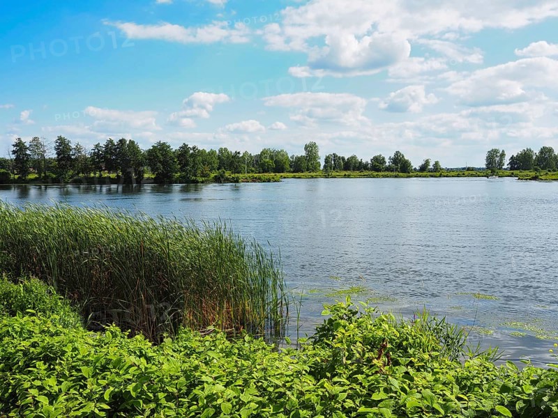 View of a lake, Roermond, Netherlands