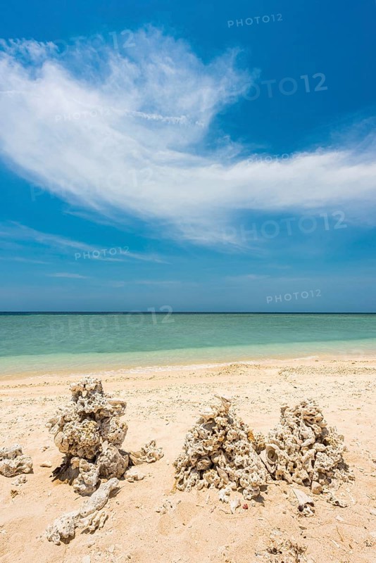 Piled up corals on the beach, blue sky, ocean, sea, nature, lonely, tourism, travel, holiday, beach holiday, Gili Air, Indonesia, Asia