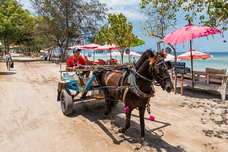 Traditional horse-drawn carriage, culture, everyday life, street scene, work, trade, transport, Gili Air, Indonesia, Asia