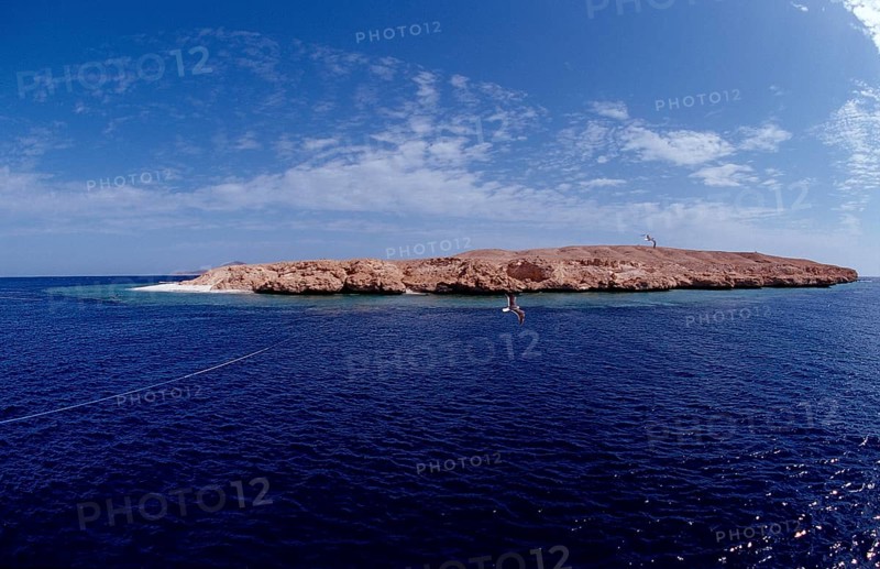 Rocky Island, Egypt, Red Sea, Africa
