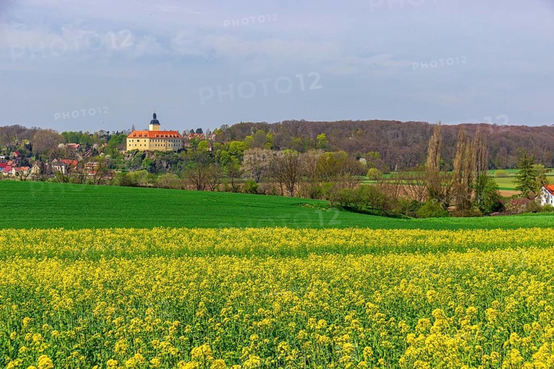 Hirschstein
