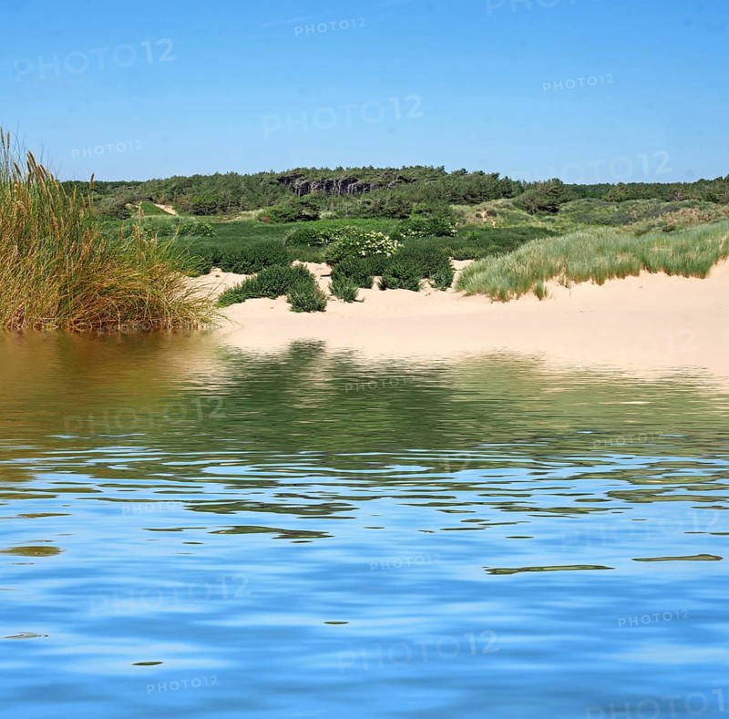The beach rom the sea at formby with dunes covered in marram grass and vegetation with forest landscape visible in the distance