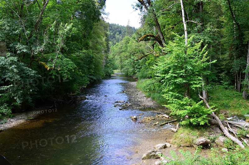 Stream in the Canyon Wutachschlucht in the Black Forest, Baden, Württemberg, Germany. Stream in the Wutachschlucht canyon in the Black Forest, Baden, Württemberg, Germany, Europe