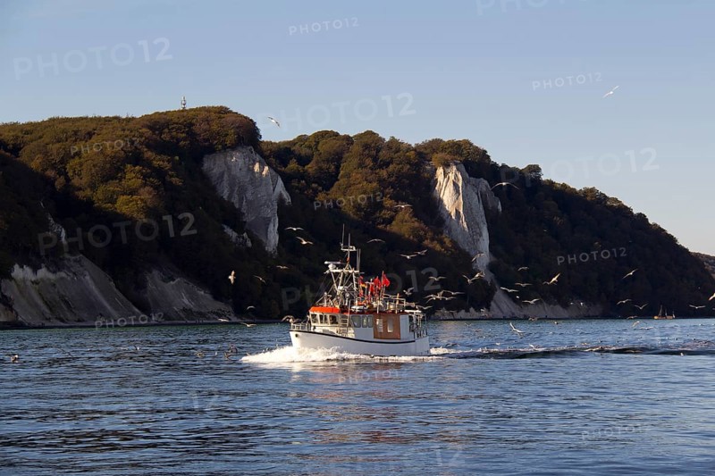 Fishing boat, königsstuhl, fishing boats, chalk, chalk cliffs, chalk coast, coast, rügen, mecklenburg, vorpommern, island, islands, germany, sightseeing, sights, landscape, nature, environment, seagull, seagull, bird, birds, animals, baltic sea, lake, sea, tourism, holidays, holiday, kantz