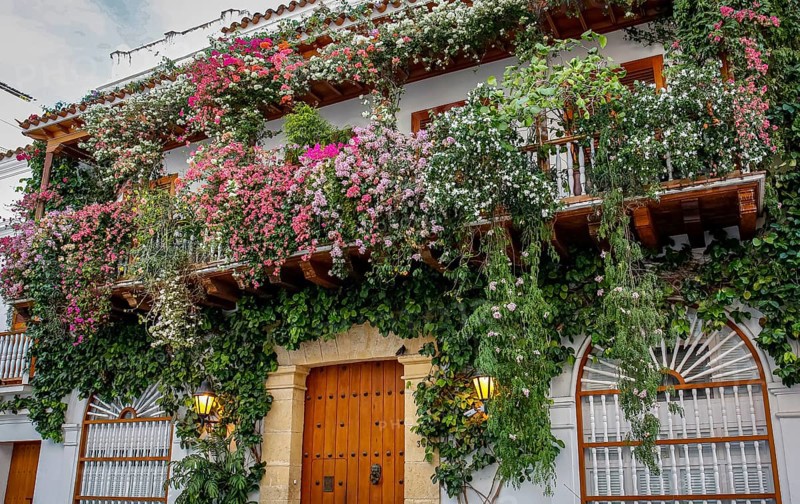 Low angel view of a traditional building with wooden balcony and green flowering plants in Old Town Cartagena, Colombia, South America