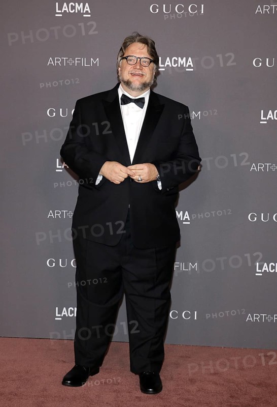 Guillermo del Toro at the 2017 LACMA Art + Film Gala held at the LACMA in Los Angeles, USA on November 4, 2017