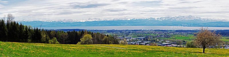 Spring meadow on Lake Constance with a view of the Alps in foehn weather, taken on the Gehrenberg near Markdorf