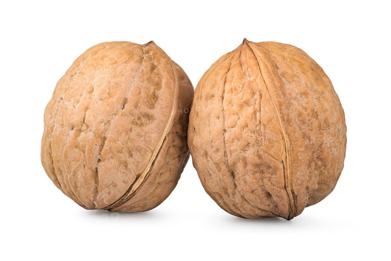 Two whole walnuts isolated on a white background