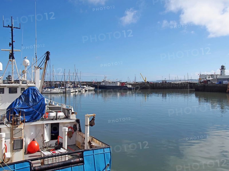 Trawler and leisure boats moored in Scarborough harbour and marina in summer sunlight